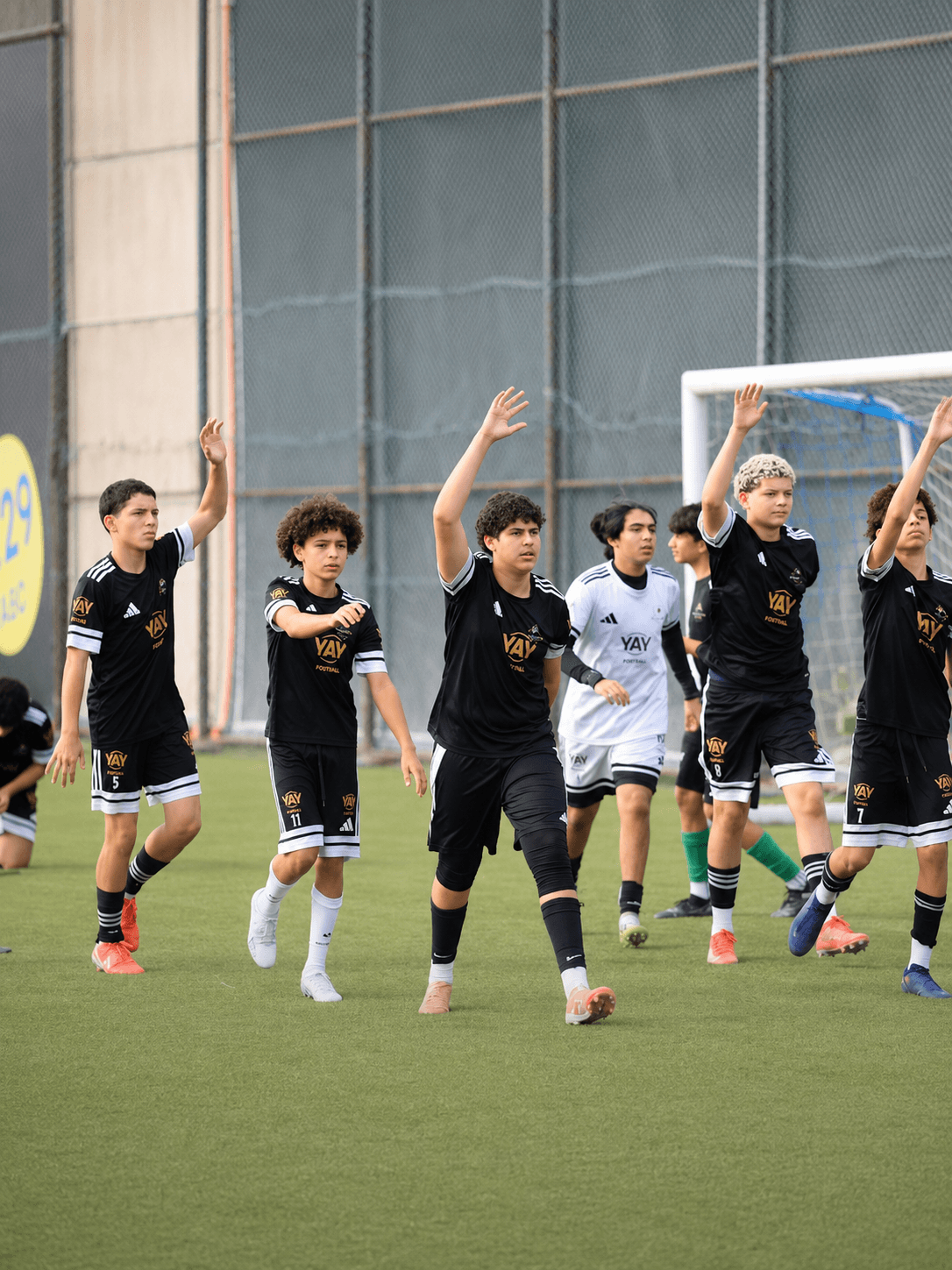 Development pathway players